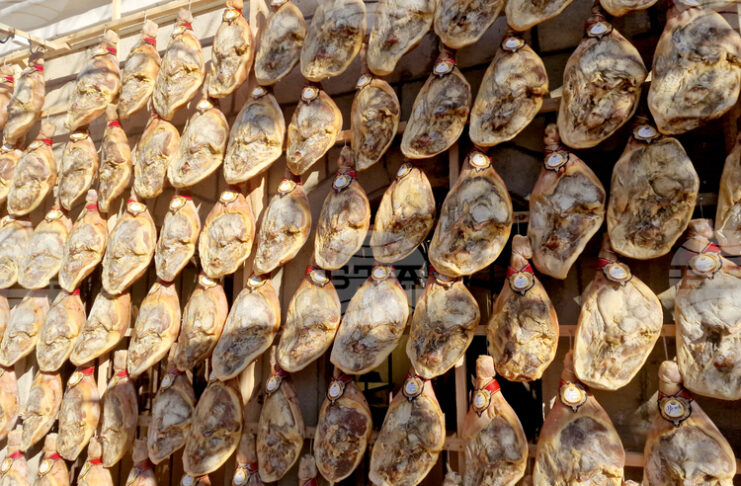 В две туристически борси ще участва Община Елена през февруари