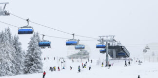 В ЕС са произведени 4,4 милиона чифта ски и дъски за сноуборд през 2024 г., отчете Евростат по повод зимната олимпиада