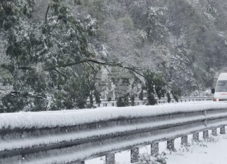 Въвеждат се ограничения за автомобили над 12 тона на магистрала „Хемус“ в областите София и Ловеч поради силен снеговалеж и почистване