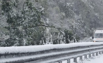 Въвеждат се ограничения за автомобили над 12 тона на магистрала „Хемус“ в областите София и Ловеч поради силен снеговалеж и почистване