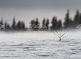 Времето в планините е подходящо за ски, съобщиха от Планинската спасителна служба на БЧК Времето в планините е подходящо за ски, съобщиха от Планинската спасителна служба на БЧК