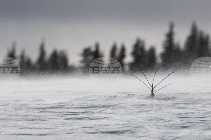 Времето в планините е подходящо за ски, съобщиха от Планинската Времето в планините е подходящо за ски, съобщиха от Планинската спасителна служба на БЧК