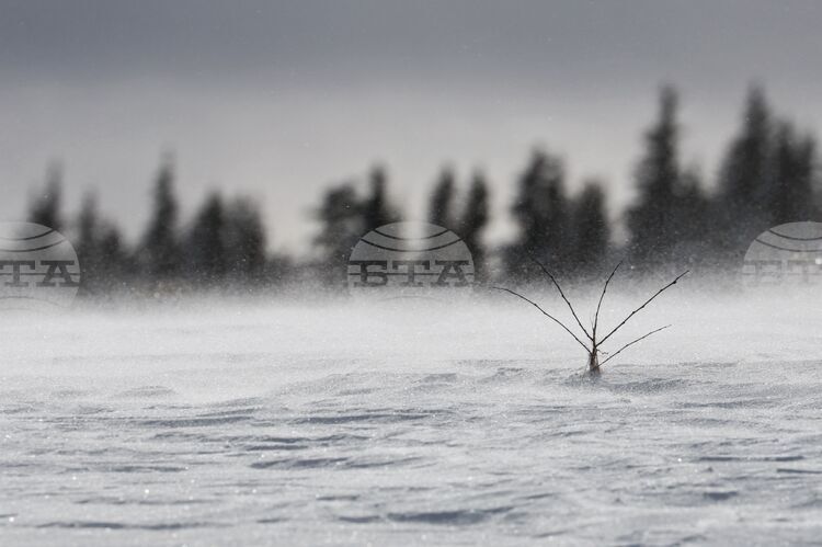 Времето в планините е подходящо за ски, съобщиха от Планинската спасителна служба на БЧК