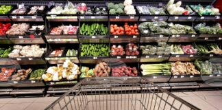 Всяко евро, похарчено във ваучери за храна, със седем пъти по-голяма стойност за икономиката от други социални разходи, показва проучване