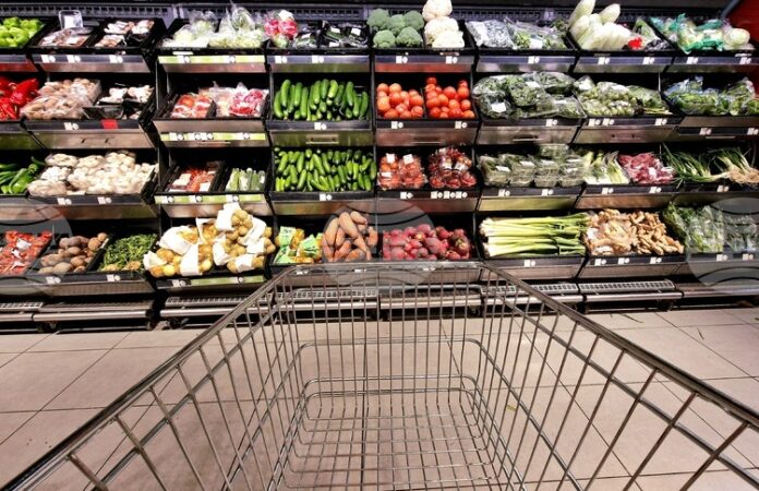 Всяко евро, похарчено във ваучери за храна, със седем пъти по-голяма стойност за икономиката от други социални разходи, показва проучване