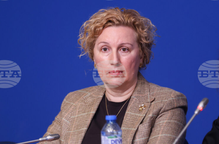 Бизнесът у нас плаща от 2 до 90 пъти по-високи такси за соларни панели и литиево-йонни батерии спрямо други държави в ЕС, каза Меглена Русинова