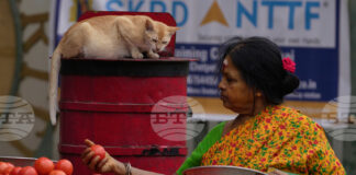 Цените на газа за готвене в Индия се повишиха заради засегнати доставки от войната в Иран