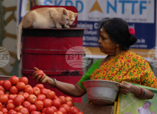 Цените на газа за готвене в Индия се повишиха заради засегнати доставки от войната в Иран