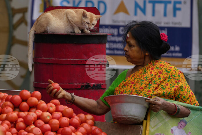 Цените на газа за готвене в Индия се повишиха заради засегнати доставки от войната в Иран