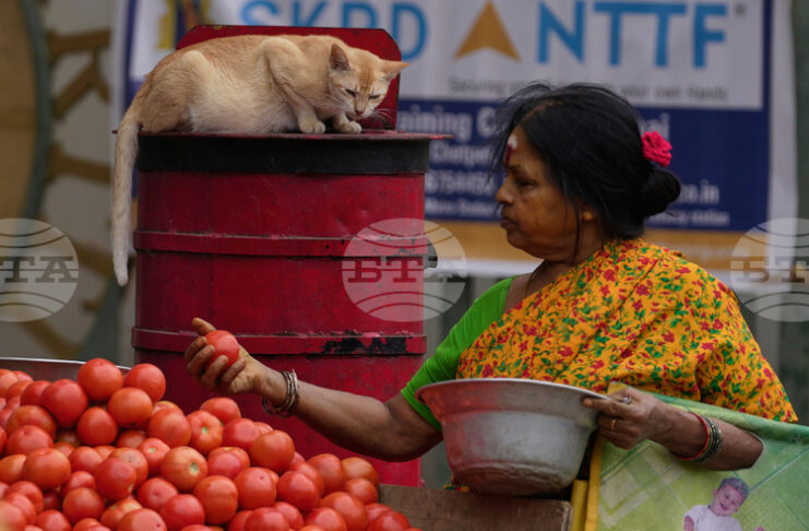 Цените на газа за готвене в Индия се повишиха заради засегнати доставки от войната в Иран