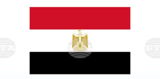 Египетски учени откриха фосил на 18 милиона години, който може да пренапише историята на приматите