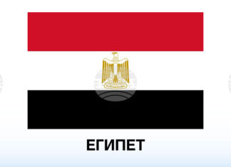 Египетски учени откриха фосил на 18 милиона години, който може да пренапише историята на приматите