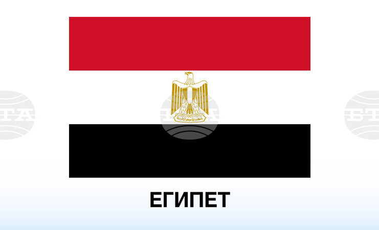Египетски учени откриха фосил на 18 милиона години, който може да пренапише историята на приматите
