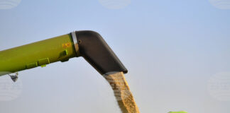 Конфликтът в Близкия изток движи цените на зърнените култури по световните борси нагоре, сочи седмичният отчет на ССБ