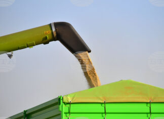 Конфликтът в Близкия изток движи цените на зърнените култури по световните борси нагоре, сочи седмичният отчет на ССБ