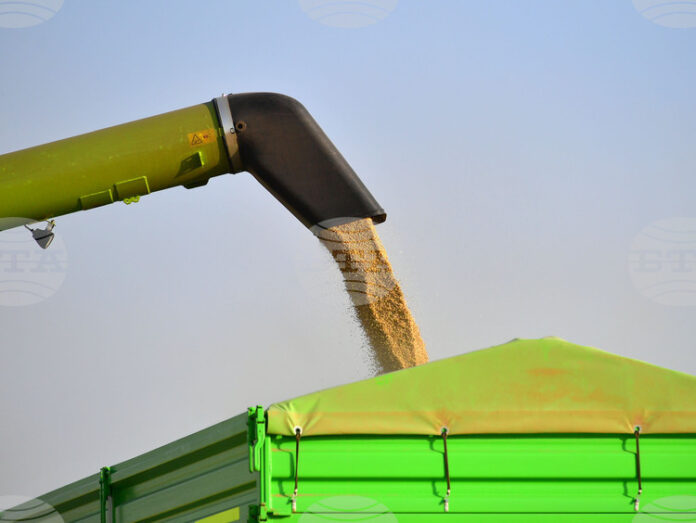 Конфликтът в Близкия изток движи цените на зърнените култури по световните борси нагоре, сочи седмичният отчет на ССБ