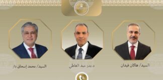 МЕНА: Египетският външен министър обсъди с колегите си от Пакистан и Турция възможностите за постигане на деескалация в региона