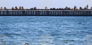 Министерството на туризма очаква добър летен сезон