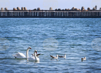 Министерството на туризма очаква добър летен сезон