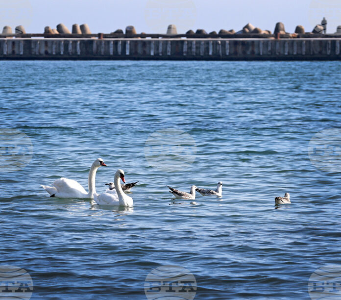 Министерството на туризма очаква добър летен сезон