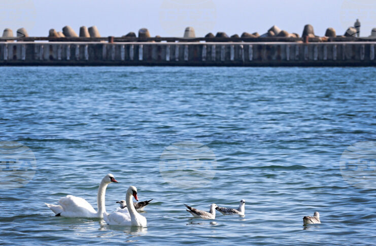 Министерството на туризма очаква добър летен сезон