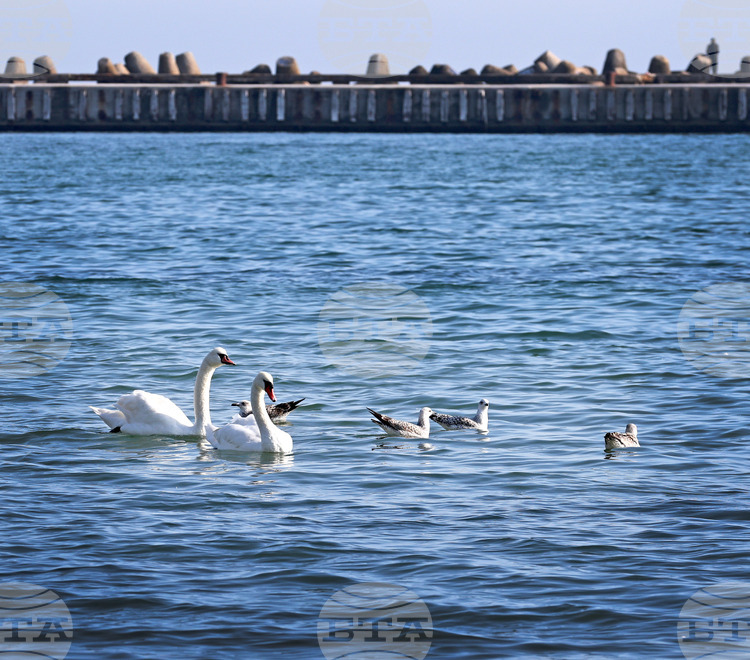 Министерството на туризма очаква добър летен сезон