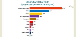 Алфа Рисърч