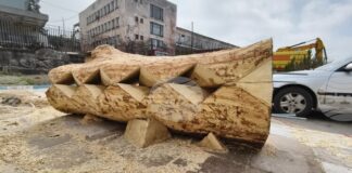 Пет дървени скулптурни инсталации, създадени в рамките на творческа инициатива, ще бъдат поставени край реката в Хасково