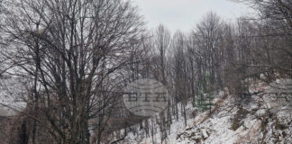 Шофьорите, пътуващи през планинските проходи, да са с готови за зимни условия автомобили, предупреждават от Агенция „Пътна инфраструктура"