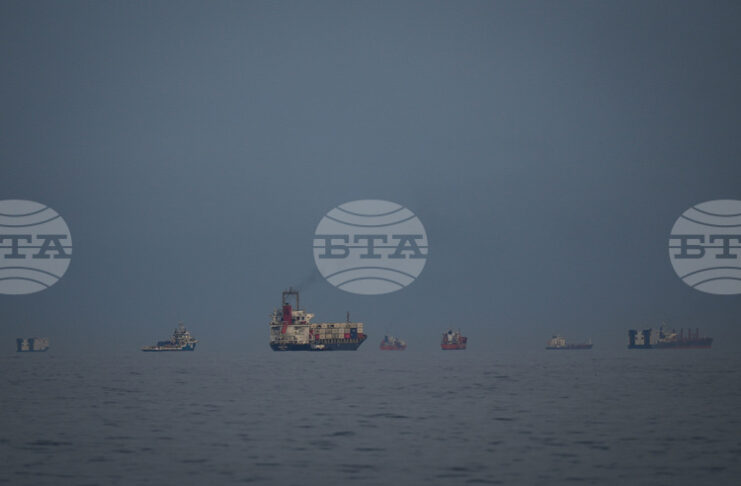 Сигурността в Ормузкия проток може да бъде гарантирана единствено чрез дипломация, заяви германският външен министър