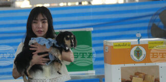 Тайландският Конституционен съд прие иск, оспорващ законността на избирателните бюлетини, съобщават местни медии