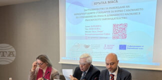 В България домашното насилие е предимно срещу жените, сочи анализ