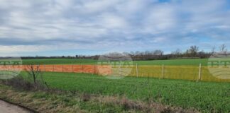 Възходящата тенденция в цените на зърнените култури на световните борси се затвърждава през седмицата, по данни на ССБ