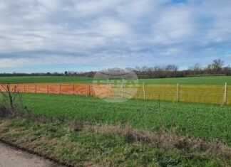 Възходящата тенденция в цените на зърнените култури на световните борси се затвърждава през седмицата, по данни на ССБ