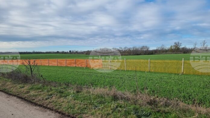 Възходящата тенденция в цените на зърнените култури на световните борси се затвърждава през седмицата, по данни на ССБ