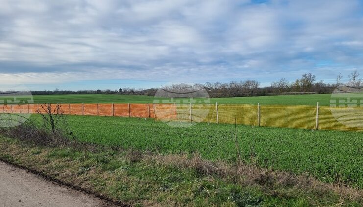 Възходящата тенденция в цените на зърнените култури на световните борси се затвърждава през седмицата, по данни на ССБ