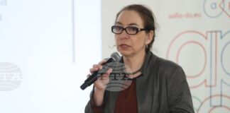 Задачата ни беше да превърнем приоритетите на стратегията в индикатори за принос на културата към устойчивото развитие, каза Яна Генова