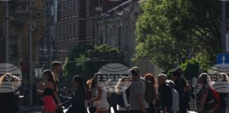 Жените все още чакат истинско равенство – 8 март в числа