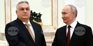 Унтарският премиер Виктор Орбан и руският президент Владимир Путин по време на лична среща през ноември миналата година.