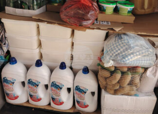 Близо половин тон храни и забранени препарати за растителна защита са иззети на ГКПП „Калотина“, съобщиха от БАБХ