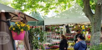 Цветното изложение "Флора Бургас 2026", което отваря врати на 1 май, ще бъде посветено тематично на Джиро д'Италия 2026