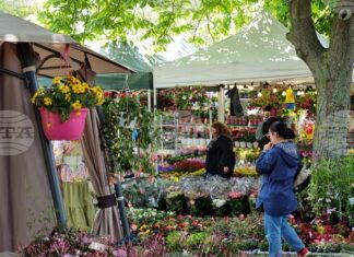 Цветното изложение "Флора Бургас 2026", което отваря врати на 1 май, ще бъде посветено тематично на Джиро д'Италия 2026