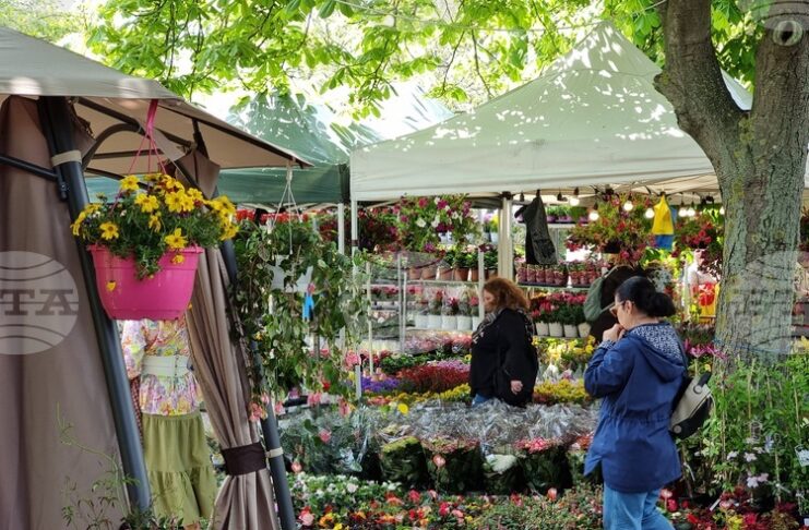 Цветното изложение "Флора Бургас 2026", което отваря врати на 1 май, ще бъде посветено тематично на Джиро д'Италия 2026