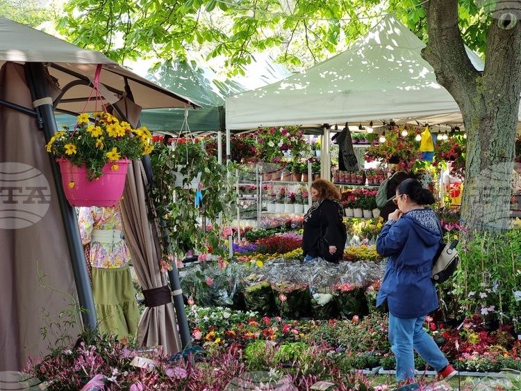 Цветното изложение "Флора Бургас 2026", което отваря врати на 1 май, ще бъде посветено тематично на Джиро д'Италия 2026