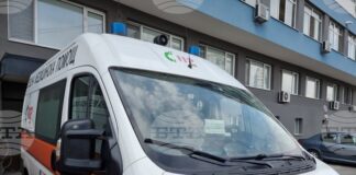 Домашно куче е нападнало две момчета в Бургас