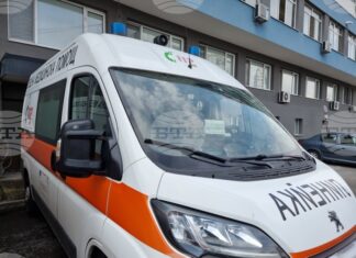 Домашно куче е нападнало две момчета в Бургас