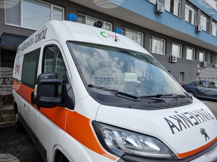 Домашно куче е нападнало две момчета в Бургас