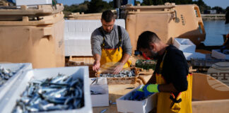 ЕС ще подпомогне със 760 милиона евро рибарите, засегнати от икономическите последици от войната в Иран