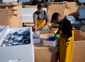 ЕС ще подпомогне със 760 милиона евро рибарите, засегнати от икономическите последици от войната в Иран