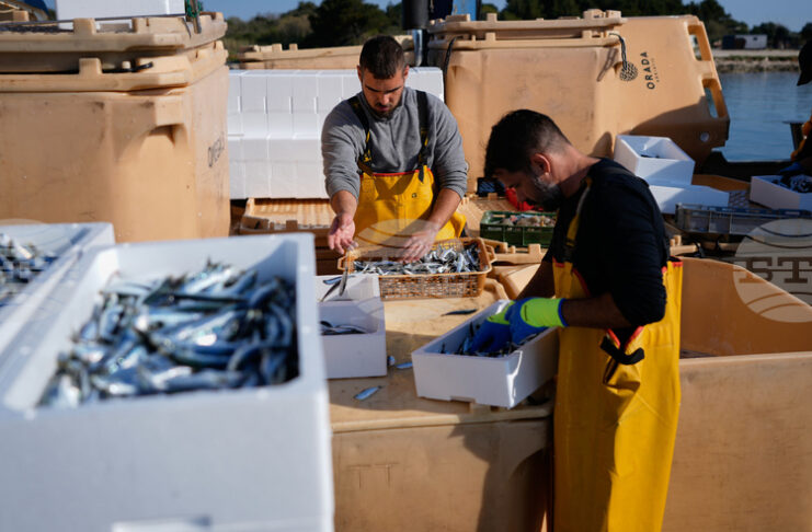 ЕС ще подпомогне със 760 милиона евро рибарите, засегнати от икономическите последици от войната в Иран